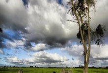 什么是足球里的马德里式浪漫？